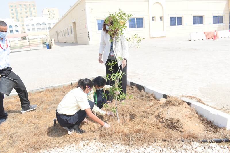 Pupils at Shining Star International School in Abu Dhabi plant trees. Photo: Shining Star International School