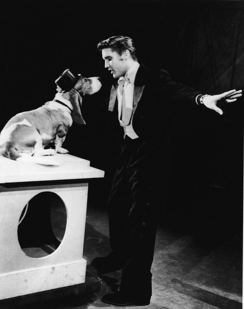 Elvis sings his song ‘Hound Dog’ to a basset hound in a top hat on the set of ‘The Steve Allen Show,’ in 1956