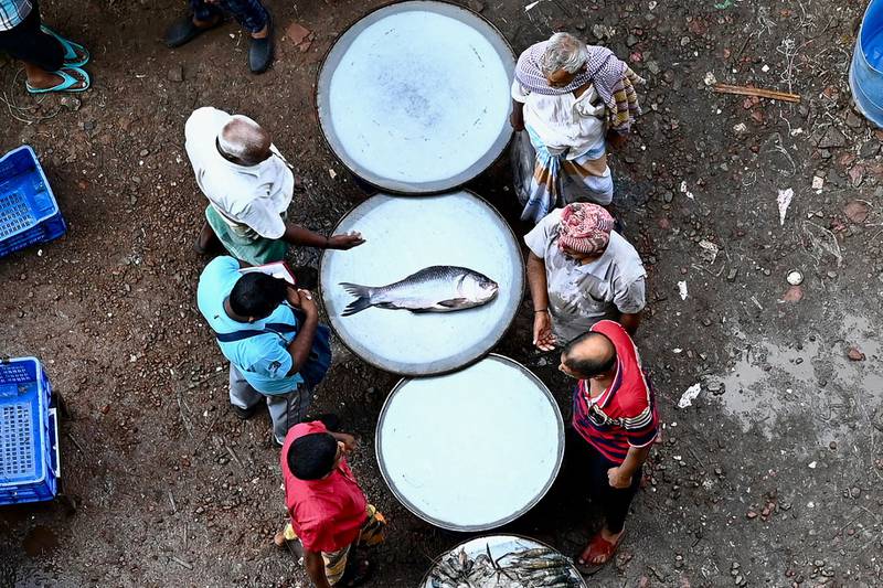 A fish on display at fish market next to the Buriganga River in Dhaka, Bangladesh. AFP
