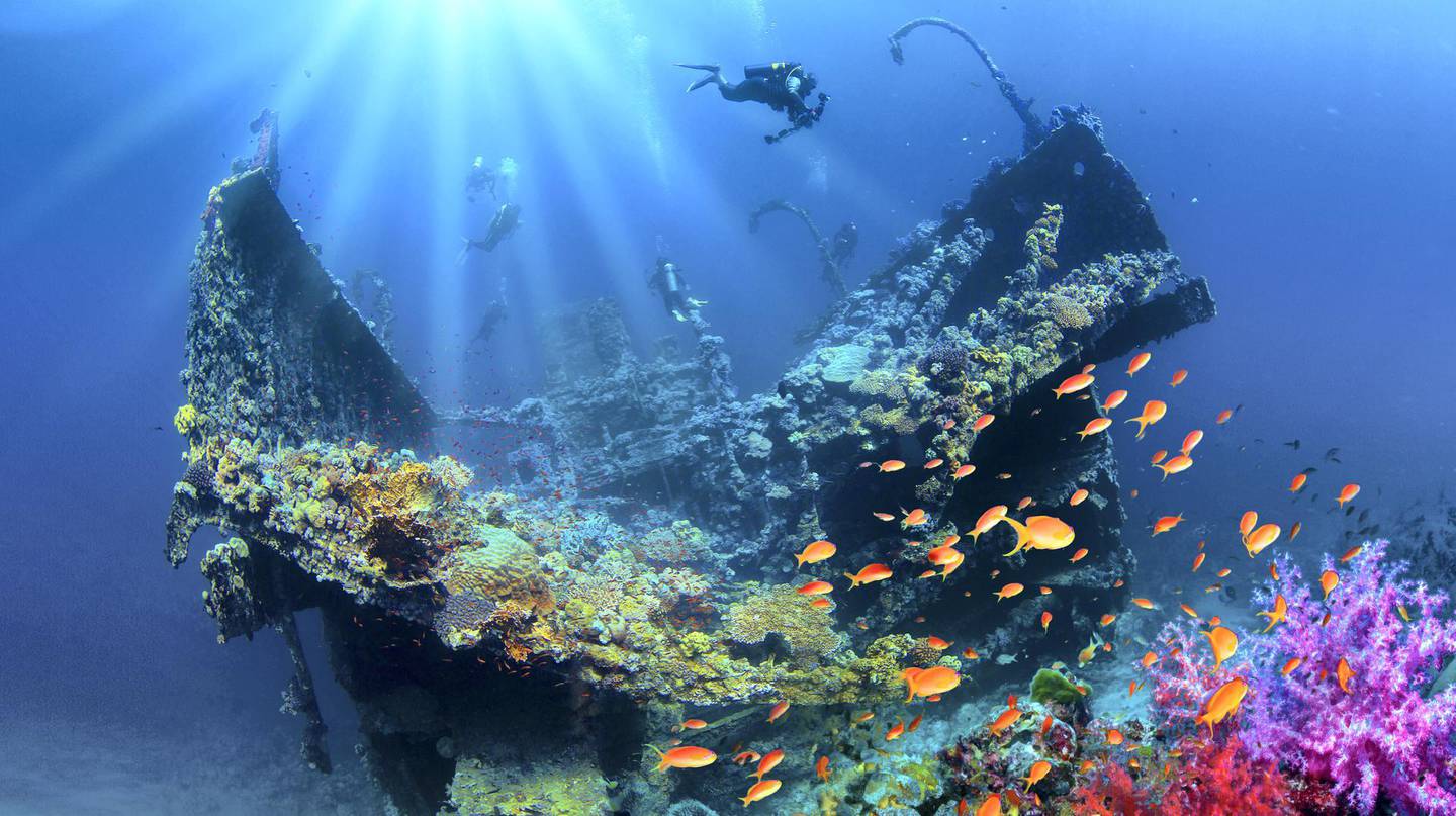 The Red Sea has a thriving marine life due to its abundance of coral reefs. Courtesy SCTH