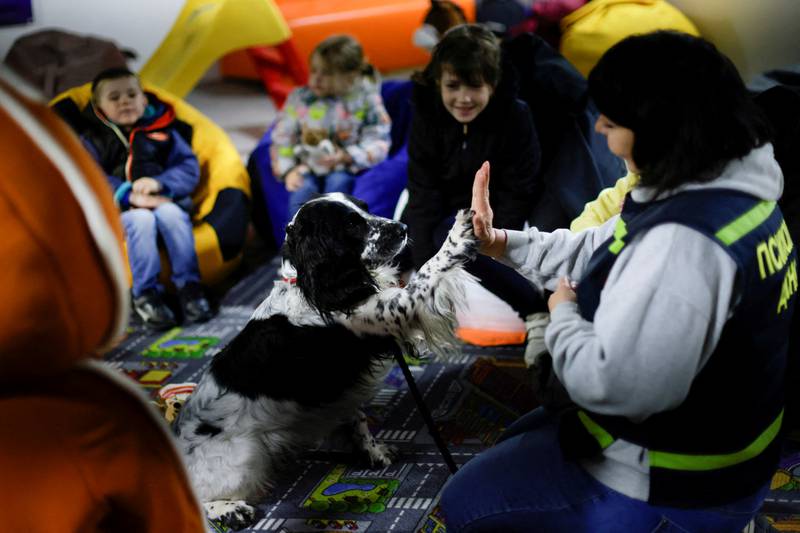 Children play with a therapeutic dog at a shelter organised by volunteers in Zaporizhzhya, Ukraine. Reuters