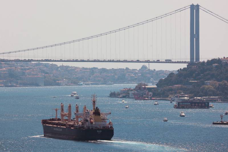 The Maltese-flagged Rojen, carrying Ukrainian grain, sails in the Bosphorus. Reuters