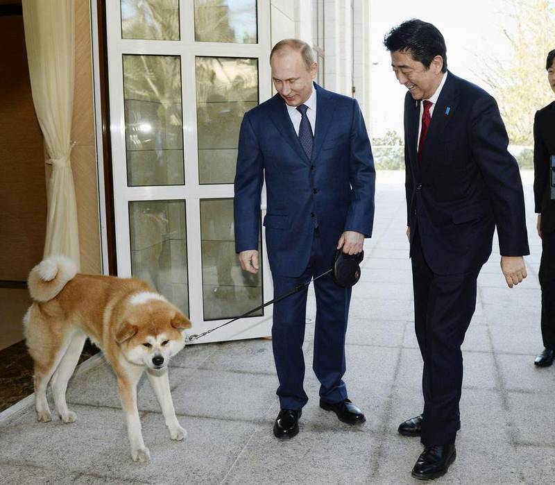 Russian President Vladimir Putin meets then Japanese prime minister Shinzo Abe in 2014. Kyodo / Reuters
