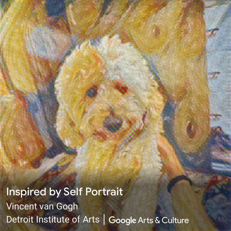 Oden the poodle as a Vincent Van Gogh portrait. Google Art and Culture