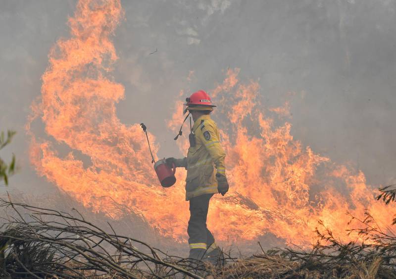 epa07829884 A New South Wales Rural Fire Service (NSW RFS) firefighter back burning on Long Gully Road in the northern New South Wales town of Drake, Australia, 09 September 2019. A number of homes have been destroyed by bushfires in northern New South Wales and Queensland.  EPA/DARREN ENGLAND AUSTRALIA AND NEW ZEALAND OUT