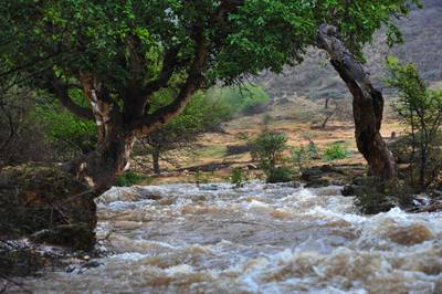 Officials said that lives could be lost if motorists attempted to drive across flooded wadis
