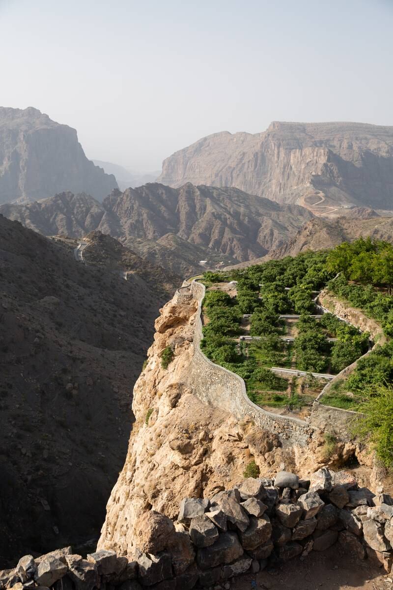 Watered from natural sources using traditional irrigation channels known as falaj, approximately 4,000 individual rose bushes thrive in Jebel Akhdar, also known as the green mountain, in the steep terraced villages of Al Aqer, Al Ayn, Saiq and Al Shuraijah.