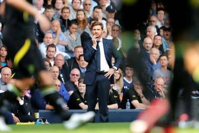 Andre Villas-Boas has a team largely picked by the club chairman, writes our columnist.