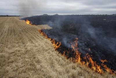 Grain fields burn on the outskirts of Kurakhove, Donetsk Oblast, eastern Ukraine.  AP Photo 