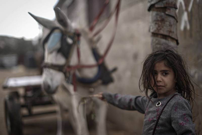 A Palestinian girl feeds a donkey on a rainy day in Khan Younis, in the southern Gaza Strip. AFP