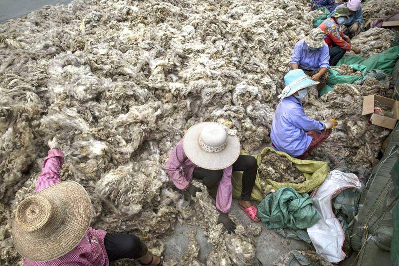 About half of China's wool imports from Australia are processed and re-exported to Europe, America and Japan. Kevin Frayer / Getty Images