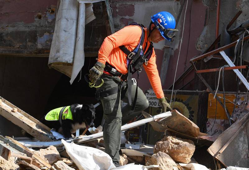 A Chilean rescue worker and a dog search for victims through the rubble of a building that collapsed in the August 4 explosion at the nearby Beirut seaport, in the Lebanese capital's neighbourhood of Gemayzeh, on September 2, 2020.  Hundreds of tonnes of ammonium nitrate, a highly explosive fertiliser, exploded at Beirut's port on August 4 this year causing severe damage across swathes of the Lebanese capital as well as killing and injuring scores of people.  / AFP / -
