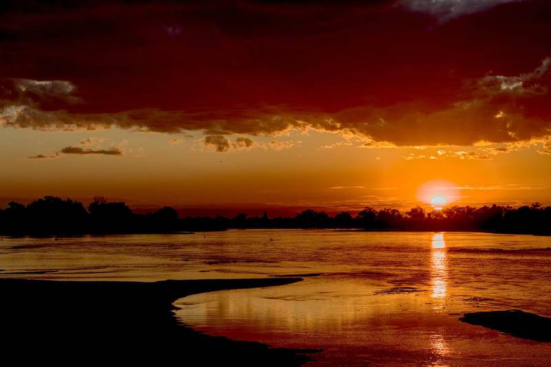 South Luangwa national park in Zambia.