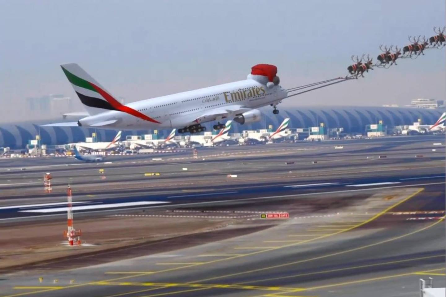 Reindeer take off with Emirates flight at Dubai airport