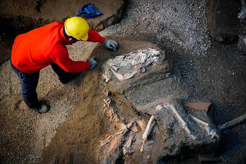 An archaeologist inspects the remains of a horse skeleton in the Pompeii archaeological site, Italy, Sunday, Dec. 23, 2018. A tall horse, well-groomed with the saddle and the richly decorated bronze trimmings, believed to have belonged to an high rank military magistrate has been recently discovered, Professor Massimo Osanna, director of the Pompeii archeological site said to the Italian news agency ANSA. (Cesare Abbate/ANSA Via AP)