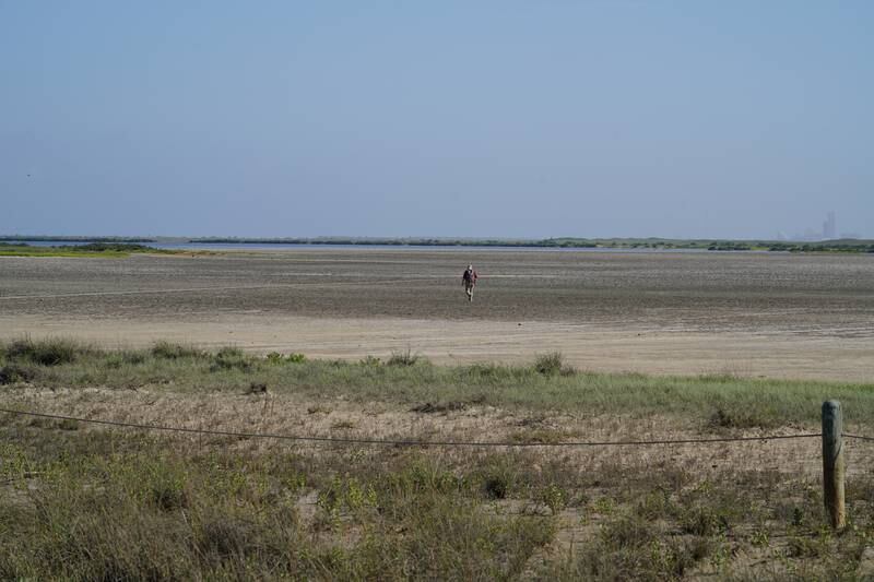 A person walks in the Boca Chica Wildlife Refuge next to Starbase. 