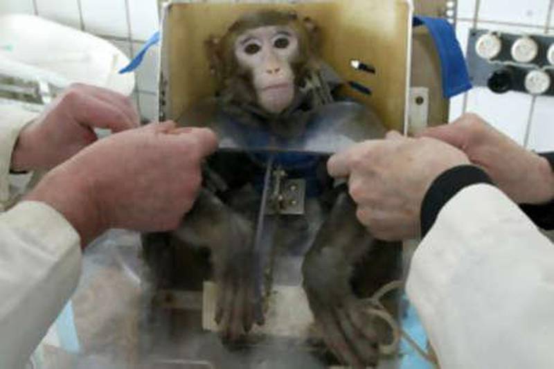 The biggest problem with using monkey's for drug testing purposes is that they are not human beings.