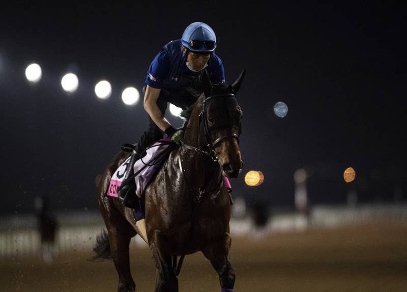 Japan's UAE Derby contender Combustion gallops at Meydan Racecourse in Dubai. AP Photo