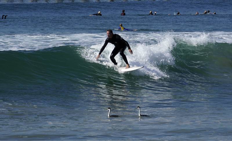 A surfer at Huntington Beach, California. AP photo