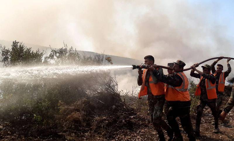 Burning undergrowth in Safita. Reuters