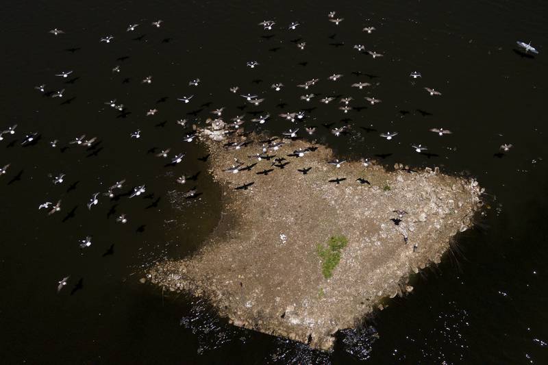 Birds fly over dried-up Lake Penuelas, in Valparaiso, Chile. AP