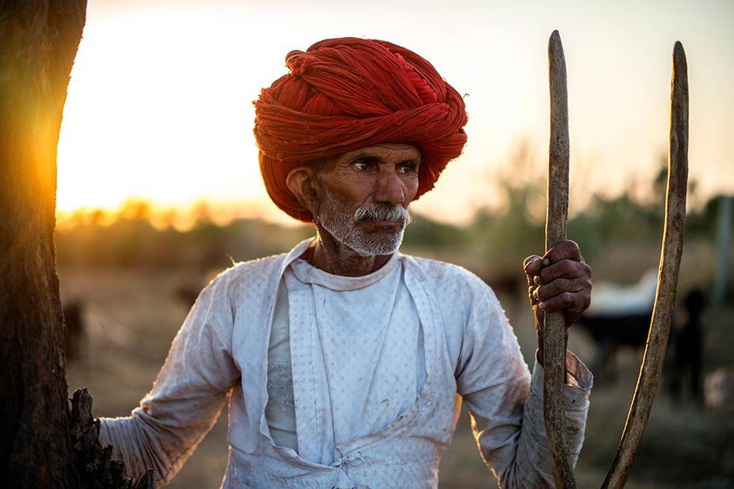 A Raika tribesman from Rajasthan. Courtesy Aman Chotani        
