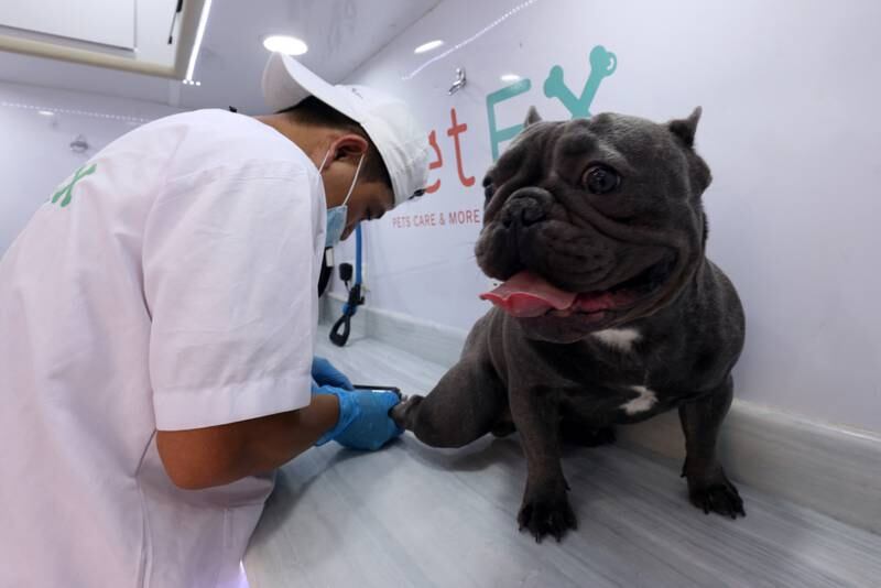 A dog stops in for a claw trimming at a pet-grooming service van in Riyadh, Saudi Arabia. Reuters