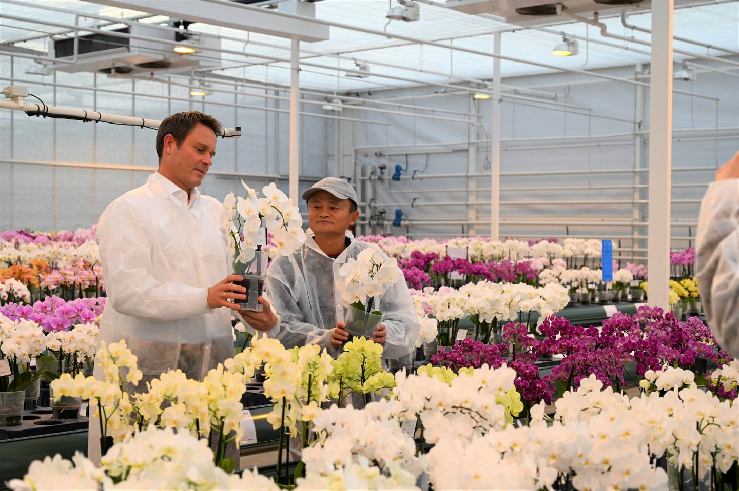 Jack Ma besuchte im Oktober letzten Jahres einen niederländischen Blumenzüchter in Bleiswijk, Niederlande.  Reuters