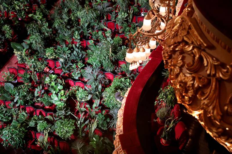 2,292 plants were used - one for each seat in the theatre. Reuters