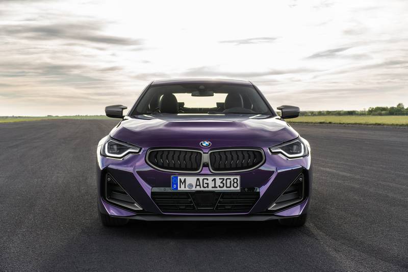 Departing from BMW's oversize grilles, the newcomer has a miniscule pair of nostrils, flanked by slit-like eyes.