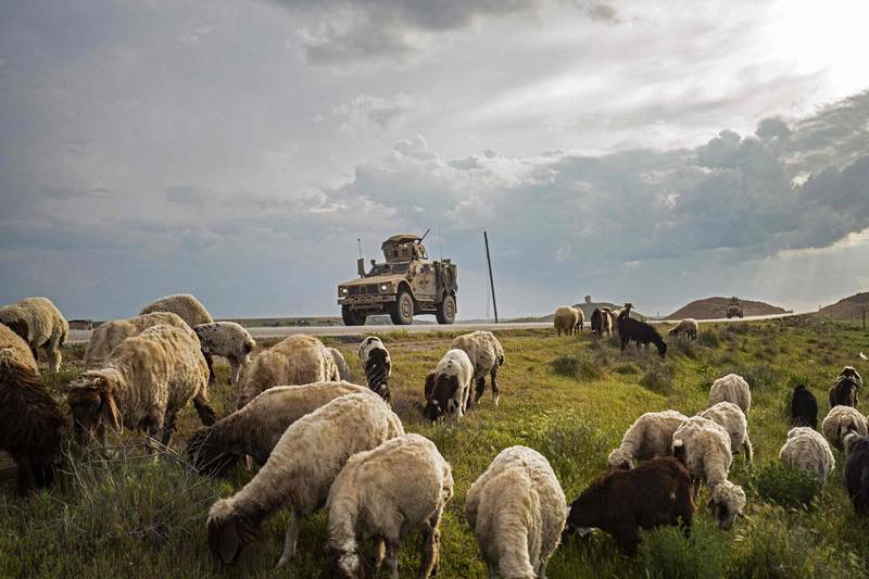 A US military vehicle advances past a herd of sheep during a patrol on the M4 strategic highway, near the US base in Tall Baydar, in the northern countryside of Syria's northeastern Hasakeh province. AFP
