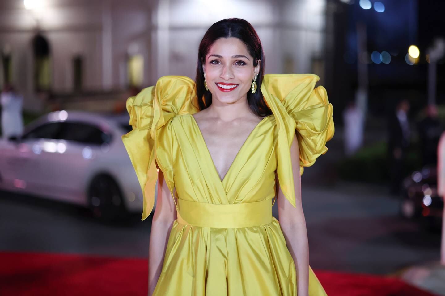Freida Pinto wears Elie Saab at the opening night gala screening of What's Love Got To Do With It? at the Red Sea International Film Festival. Getty Images