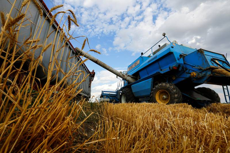 A truck is loaded with grain in the Russia-controlled village of Muzykivka, in the Kherson region of Ukraine. The war has disrupted grain exports from
Ukraine, presenting a significant threat to global food security. Reuters