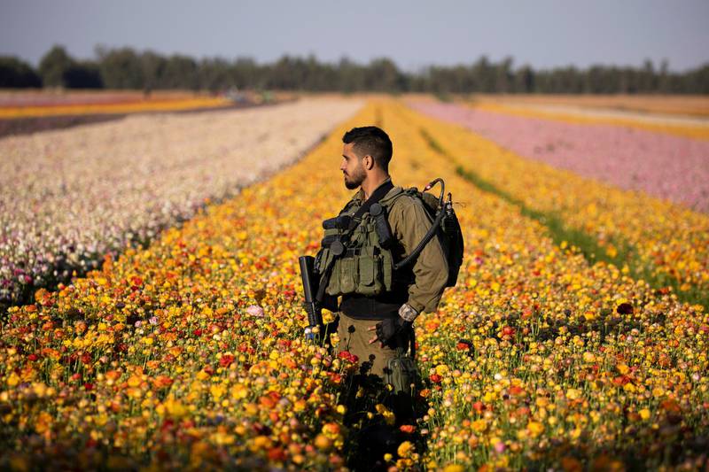 An Israeli soldier walks in a field of buttercups near Nir Yitzhak kibbutz in southern Israel, near the border with Gaza. Reuters