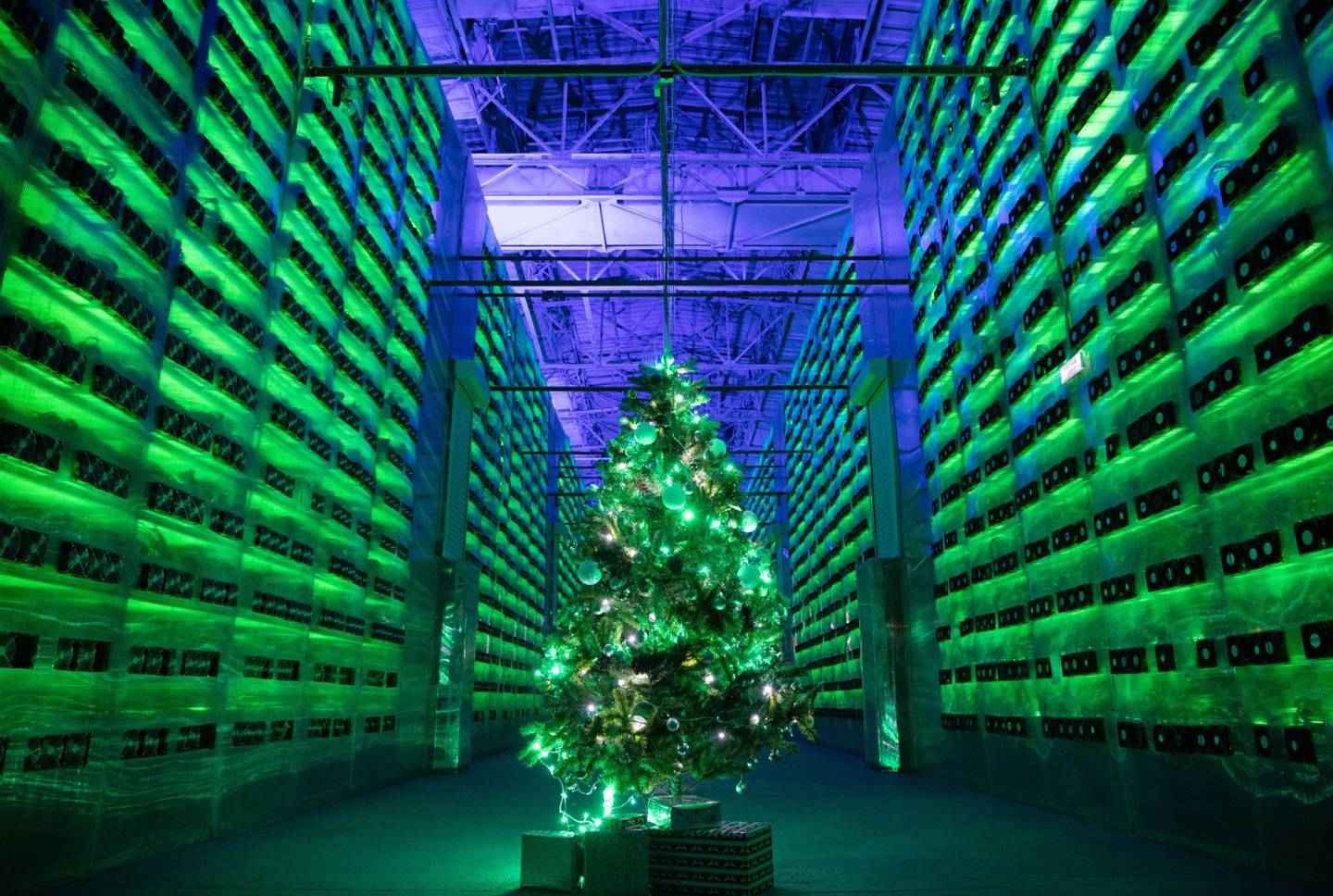 A Christmas tree in front of racks of illuminated mining rigs at the Minto cryptocurrency mining centre in Nadvoitsy, Russia. Photo: Bloomberg