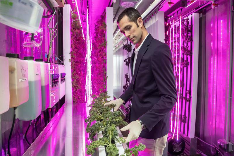 ABU DHABI, UNITED ARAB EMIRATES. 10 JANUARY 2019. Masdar Farm smart farming initiative, ahead of Abu Dhabi sustainability week. Kyle Wagner, Head of Operations at Madar Farms shows the inside of the Smart Farming retrofitted shipping container that grows 4 tons of leavy  greens per year. (Photo: Antonie Robertson/The National) Journalist: Nick Webster. Section: National.