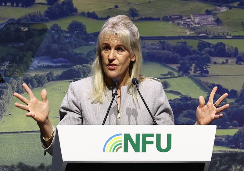 Minette Batters, president of the National Farmers Union, at the NFU conference in Birmingham on Tuesday. Bloomberg