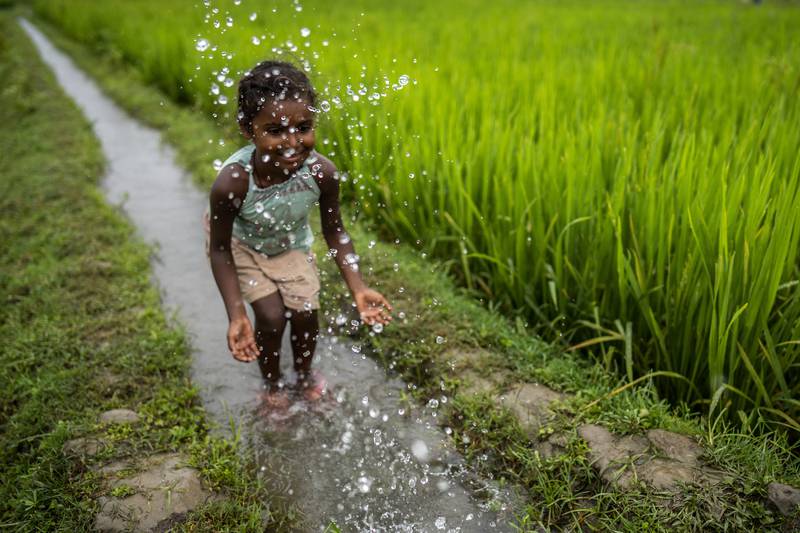 A child plays near a paddy field on the outskirts of Gauhati, Assam state. AP