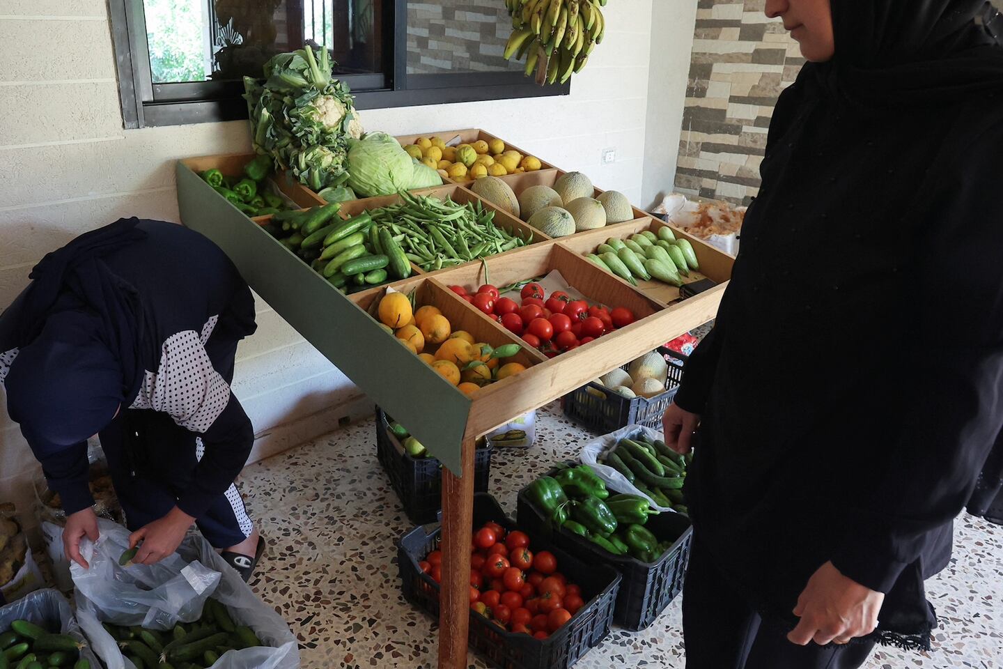Lebanese family turns to farming to survive crises