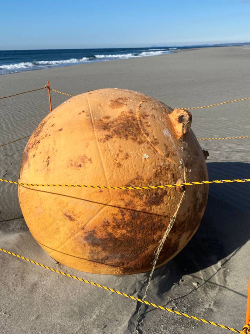 The mysterious ball that washed up on a beach in Hamamatsu, Japan. Reuters