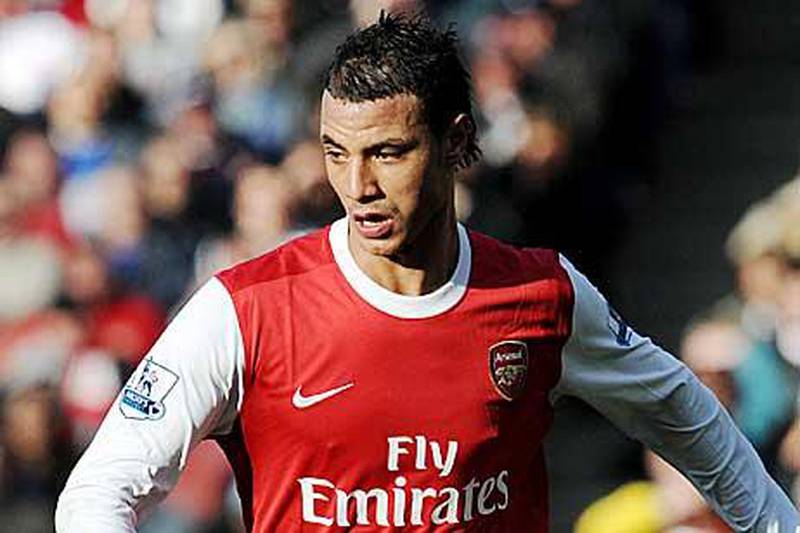Marouane Chamakh has adapted quickly to the English game since his summer move from France.