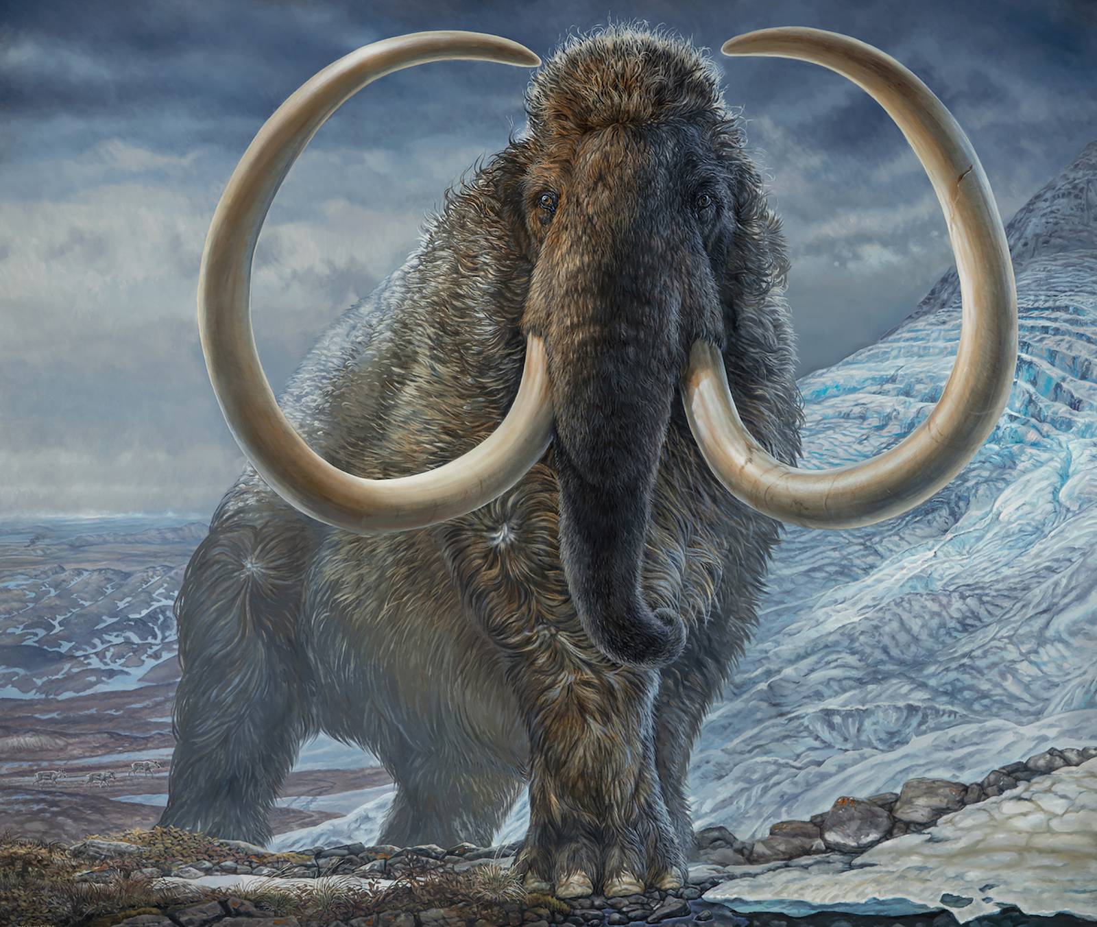 How cloning woolly mammoths could save the world