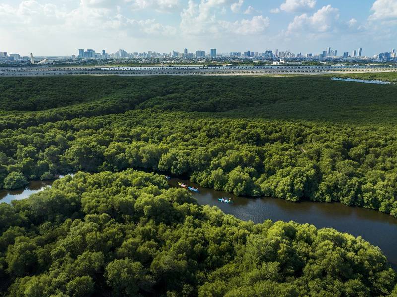 Al Zorah City in Ajman has pledged to expand its Natural Mangrove Reserve. Photo: Al Zorah City