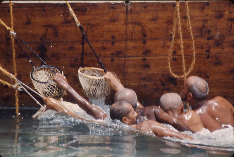 Divers bring the baskets with pearls to the surface, where they are hauled above the boat. 