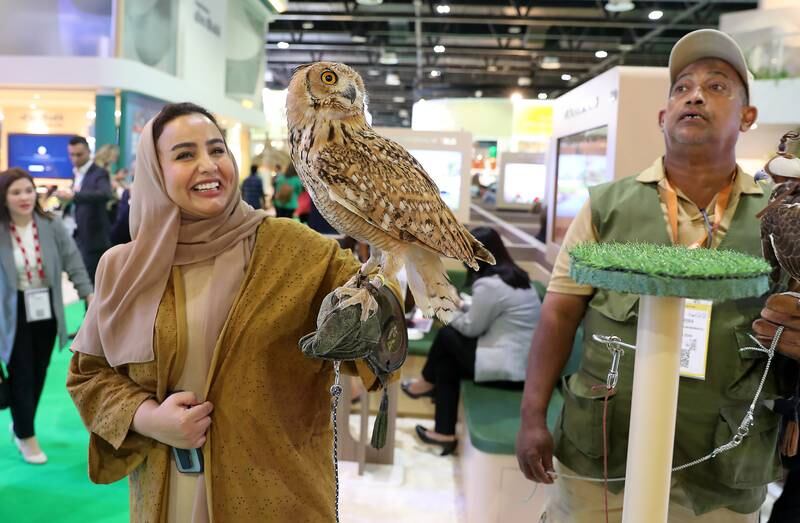 Owls and birds of prey are a big attraction at the Abu Dhabi stand at the Arabian Travel Market. Pawan Singh / The National