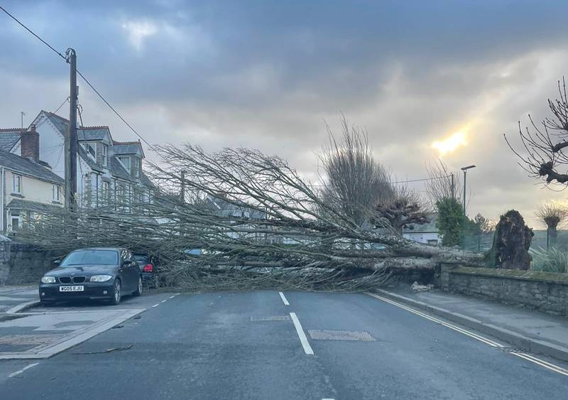 A fallen tree blocks Egloshaye Road in Wadebridge, north Cornwall. PA