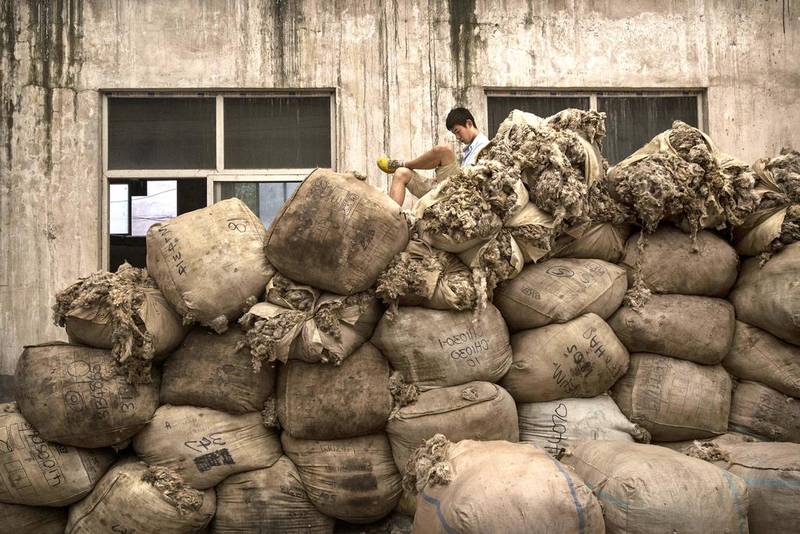 Above, large bags of sheep’s wool imported from Australia before being processed and bleached at a factory near Zhangzhou. Many of the leading Chinese textile companies use large quantities of Australian Merino wool in their production. Kevin Frayer / Getty Images