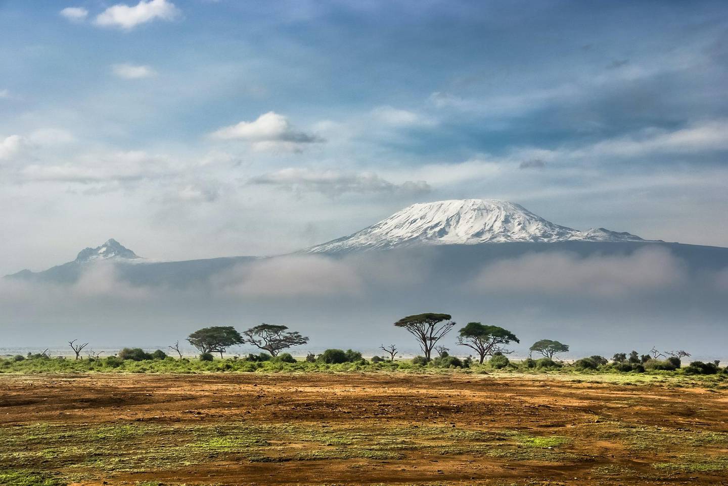 Kenya's wild-filled lands are open to travellers. Unsplash