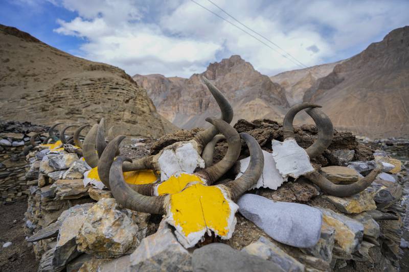 Animal skulls are displayed atop a mud house, meant to ward off evil spirits, in the remote Kharnak village in the cold desert region of Ladakh, India, Saturday, Sept.  17, 2022.  Konchok Dorjey now lives with his wife, two daughters and a son in Kharnakling, where scores of other nomadic families from his native village have also settled in the last two decades.  (AP Photo / Mukhtar Khan)
