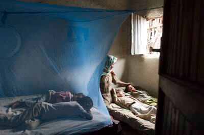 British researchers are developing the next generation of mosquito nets to help protect against malaria. Getty Images